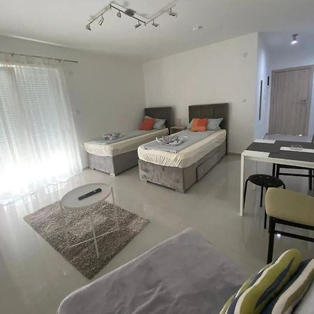 Villa Ronic Sokobanja Kültér fotó
