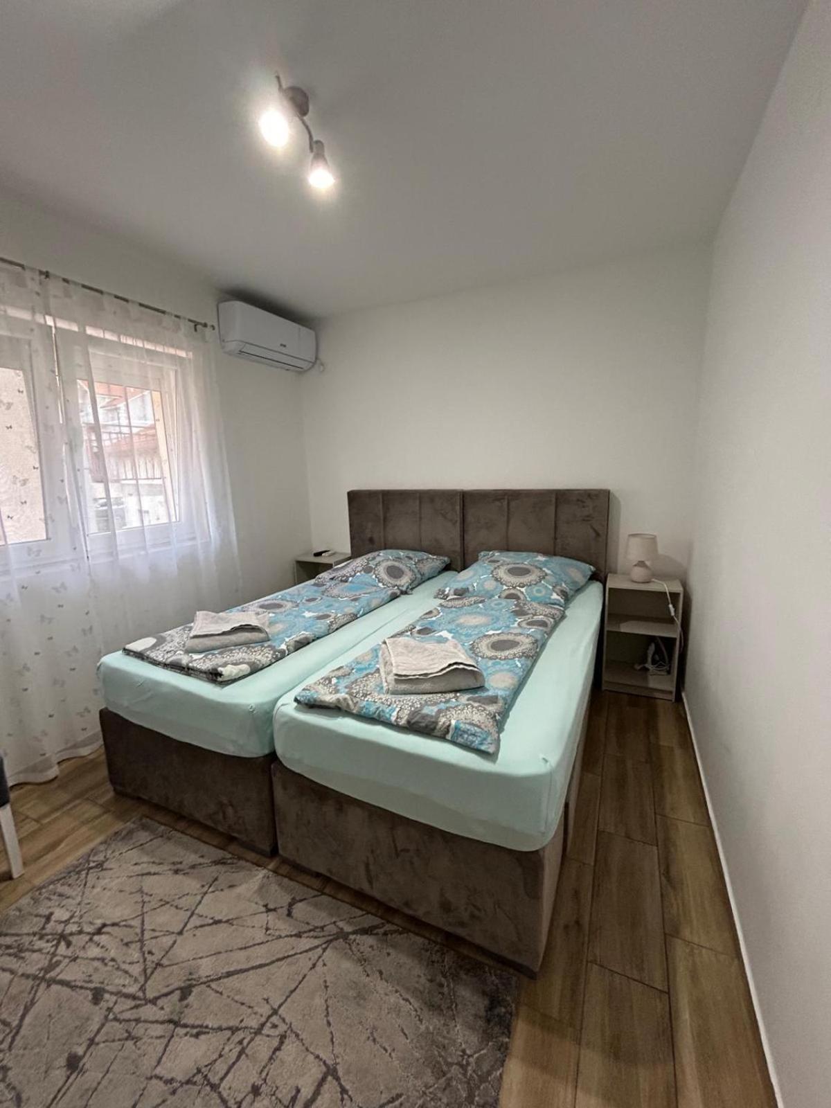 Villa Ronic Sokobanja Kültér fotó